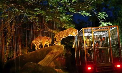 is singapore zoo and night safari the same